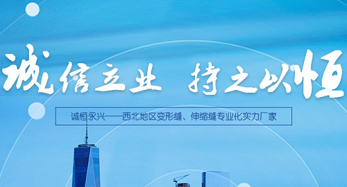西安伸缩缝